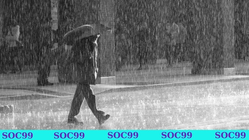 Nằm mơ thấy mưa ướt người - Con số đẹp chơi xổ số Soc99 1 Nằm mơ thấy mưa ướt người thông báo khởi đầu mới
