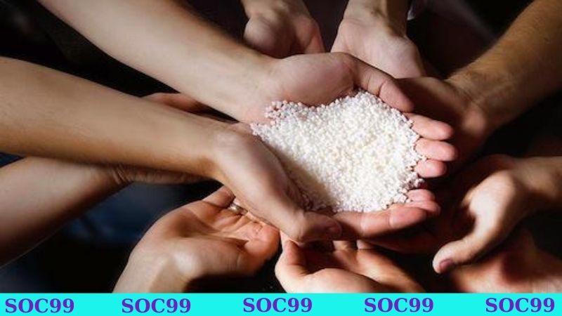 Hạnh Phúc Trong Tầm Tay